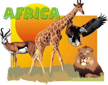 Afrika Hayvanlar Hayvanat Bahçesi başlık sayfası olarak