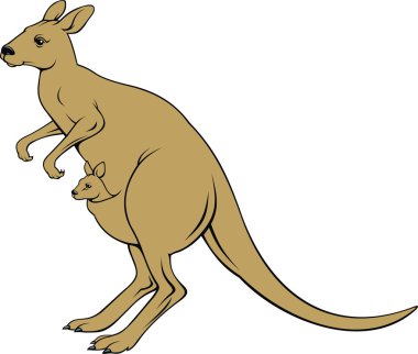 izole kahverengi kanguru