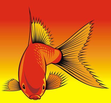 Altın Balık arka plan