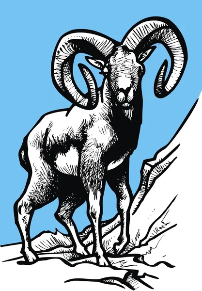 오래 된 mouflon 그림 — 스톡 벡터