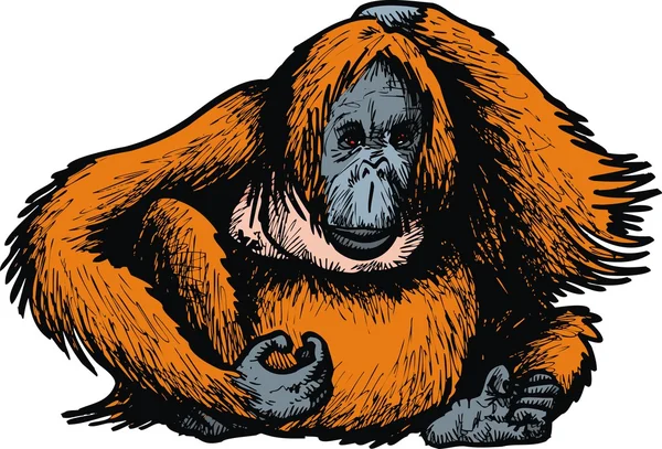 Большая орангутанговая обезьяна — стоковый вектор