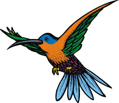 küçük uğultu kuş