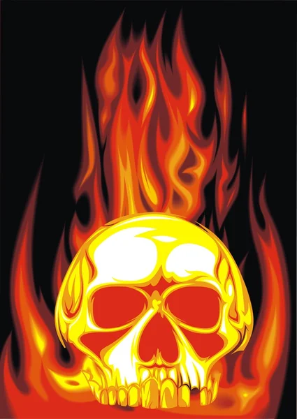 Human skull — Stock Vector