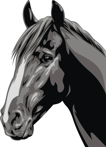 Cabeza del caballo gris — Archivo Imágenes Vectoriales