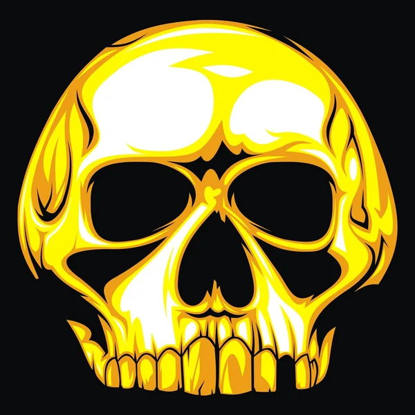 Human skull — Stock Vector