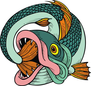 egzotik balık izole 