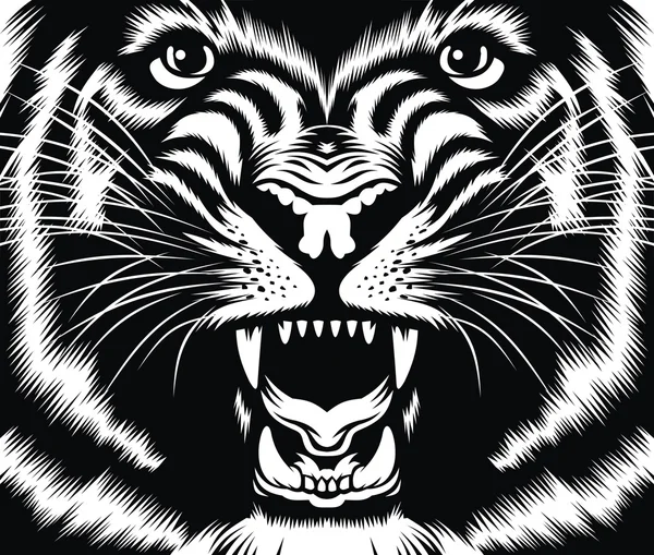 Head of wild cat — Stock Vector