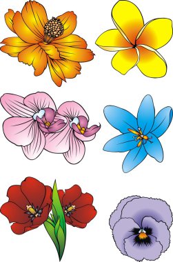 easy color flowers  clipart