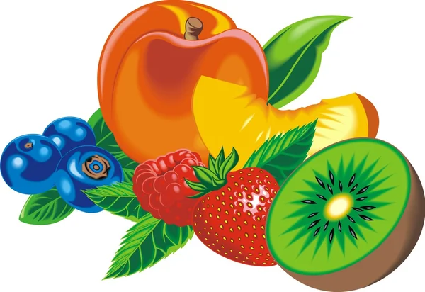 Exotiska frukter isolerade — Stock vektor