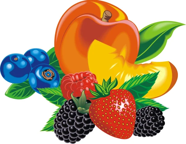 Exotic fruits isolated — Stock Vector