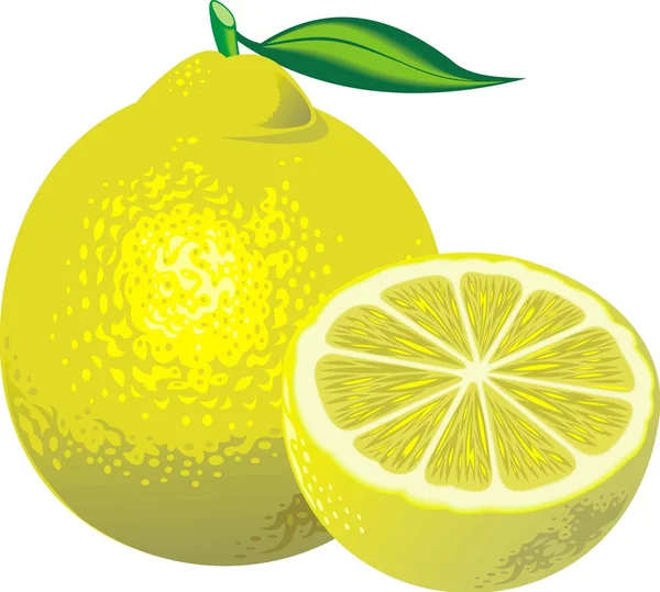 Citronnelle — Image vectorielle