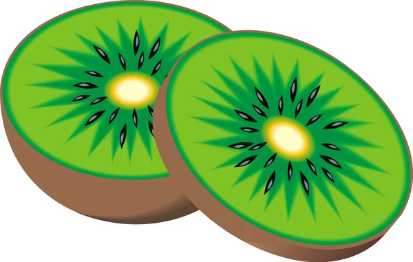 Kiwi aislado — Vector de stock