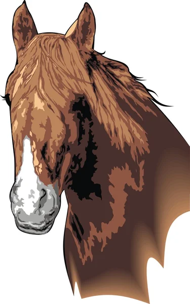 Cabeza de caballo marrón — Vector de stock