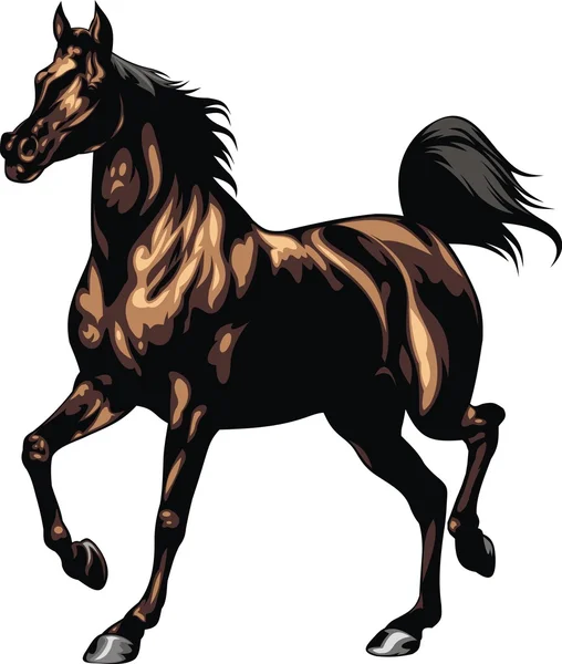 Brown horse isolated — Stock Vector