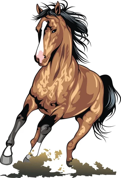 Brown horse isolated — Stock Vector