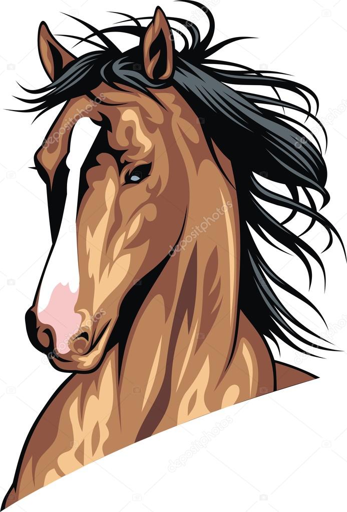 head of brown horse 