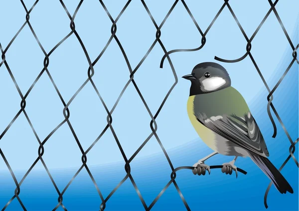 鋼の有線壁の質感と鳥 — ストックベクタ