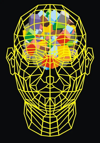 Cabeza humana 3d — Archivo Imágenes Vectoriales