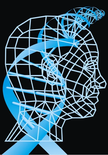 3D-menselijk hoofd — Stockvector