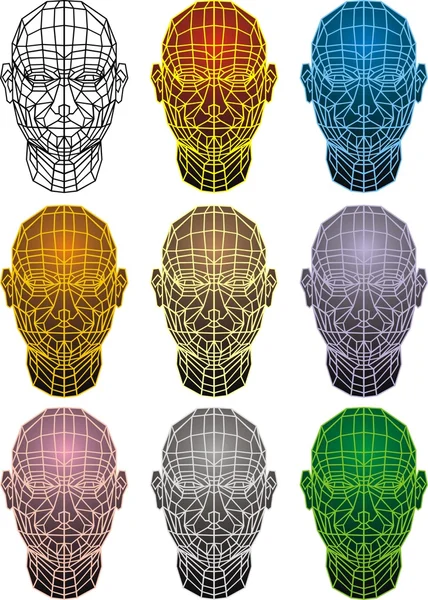 3D menschlicher Kopf — Stockvektor