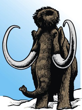 Mamut.