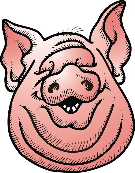 分離された豚頭 — ストックベクタ