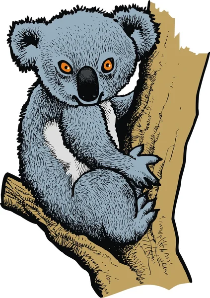 Koala Teddy — Vettoriale Stock