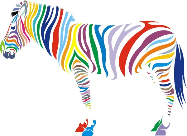 Zebra Animal — Stockový vektor