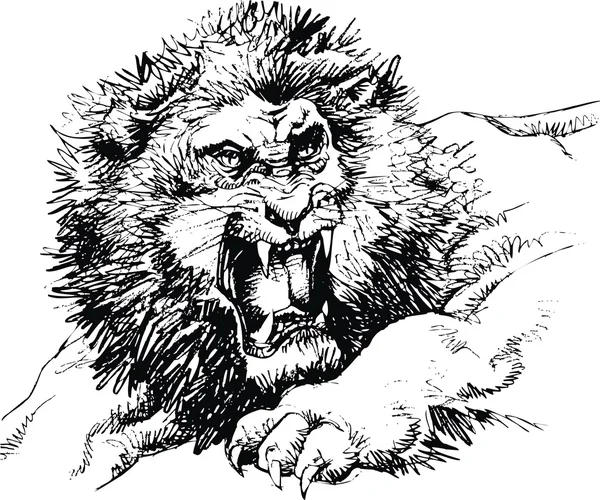 Дикий лев — стоковый вектор