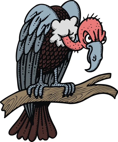Wild vulture — Stock Vector