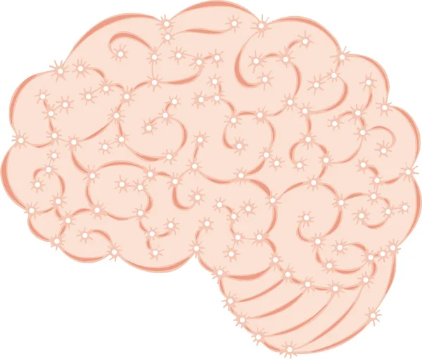 Cerebro humano — Archivo Imágenes Vectoriales