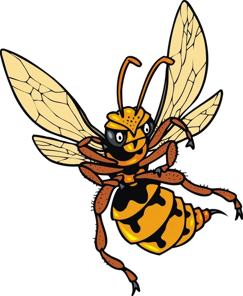 野生の蜂 — ストックベクタ
