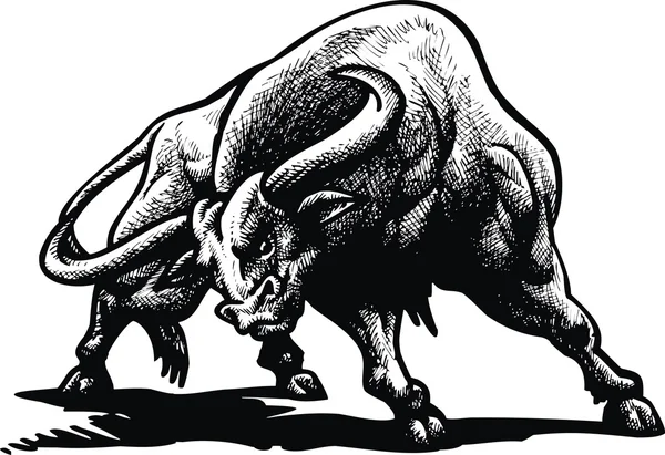 Wild bull — Stock Vector