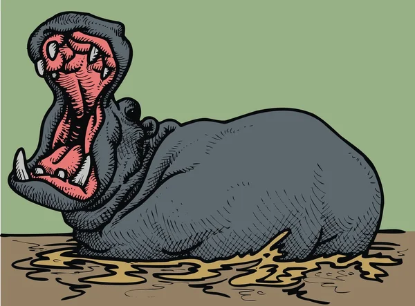Hipopótamo com a boca aberta —  Vetores de Stock