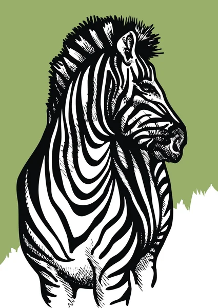 Animal de zebra — Vetor de Stock