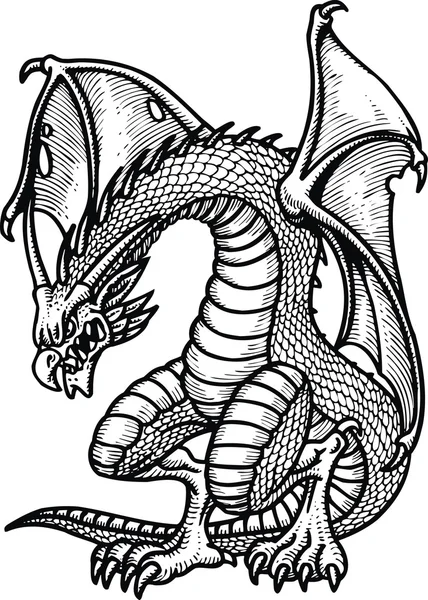 Dragon, izolovány — Stockový vektor