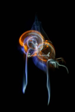 Çok renkli ışık yollarının uzun pozlama fotoğrafı koyu bir arkaplan üzerinde paralel çizgilerin karmaşık geometrik desenini oluşturuyor..