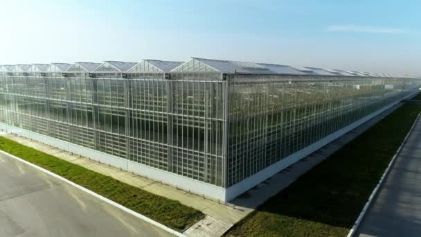 Takeoff of a copter over a modern greenhouse complex. Large agricultural complex. Industrial greenhouses for growing vegetables, fruits, flowers all year round. Modern agriculture. Agrocomplex. — Stock Video