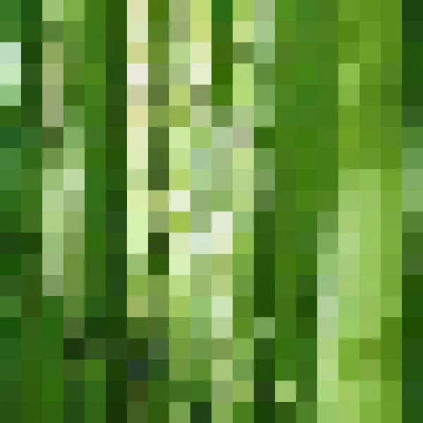 抽象的圈子，条纹，绿色的背景 — 图库矢量图片