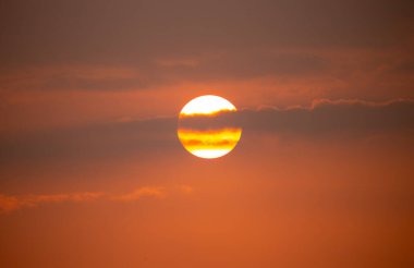 Günbatımı turuncu alacakaranlık gökyüzü ve kara gölgelerde orman.