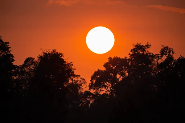 Sunset Orange Twilight Sky Forest Black Shadow — Stock Photo, Image