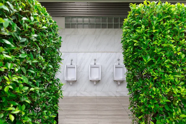 Beyaz Adamlar Yeşil Çitli Umumi Tuvaletlere Işiyor — Stok fotoğraf