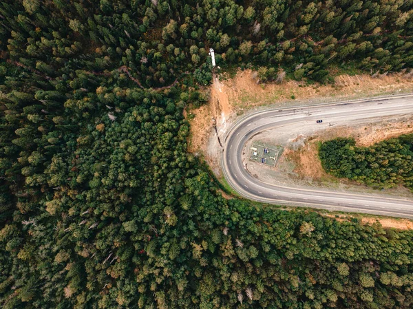 머리 위에는 가을 숲 속에 있는 상록수들 사이 의산 세레나 테 도로가 굽어 져 있는 모습 — 스톡 사진