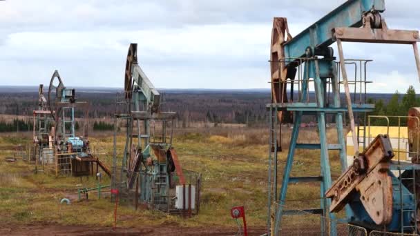 Sucker rod bombas de trabajo y aceite de la bomba. operación y mantenimiento de pozos de petróleo — Vídeos de Stock