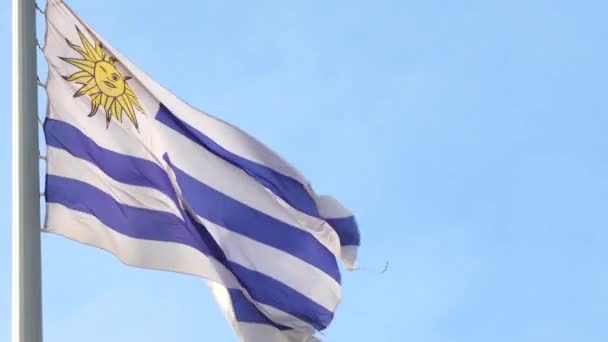 A bandeira nacional do Estado do Uruguai acenando ao vento em um mastro de bandeira contra um céu azul. — Vídeo de Stock