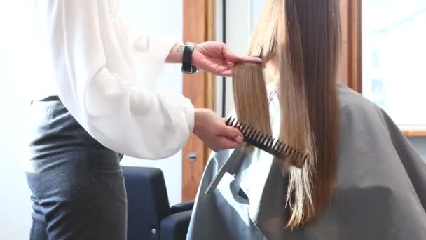 Parrucchiere pettina i capelli delle ragazze con lo styling in un salone di bellezza. — Video Stock