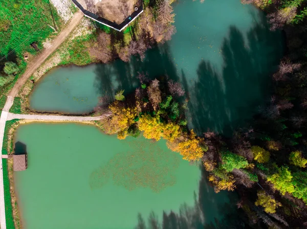 Horní pohled na krásné modré jezero mezi podzimním lesem. — Stock fotografie