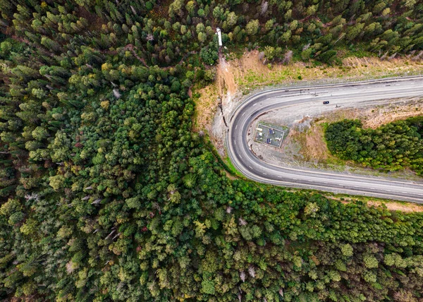 머리 위에는 가을 숲 속에 있는 상록수들 사이 의산 세레나 테 도로가 굽어 져 있는 모습 — 스톡 사진