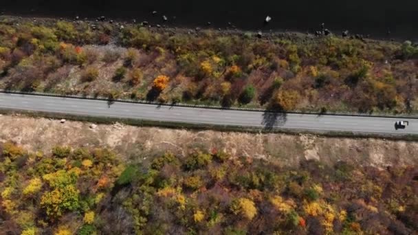 Drone carros de filmagem dirigir ao longo de uma estrada estreita floresta entre árvores de outono. — Vídeo de Stock