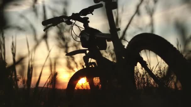 Viaggiare in bicicletta. Una sagoma di una bicicletta si trova in un campo tra l'erba su uno sfondo tramonto. Luce di riempimento dorata morbida — Video Stock
